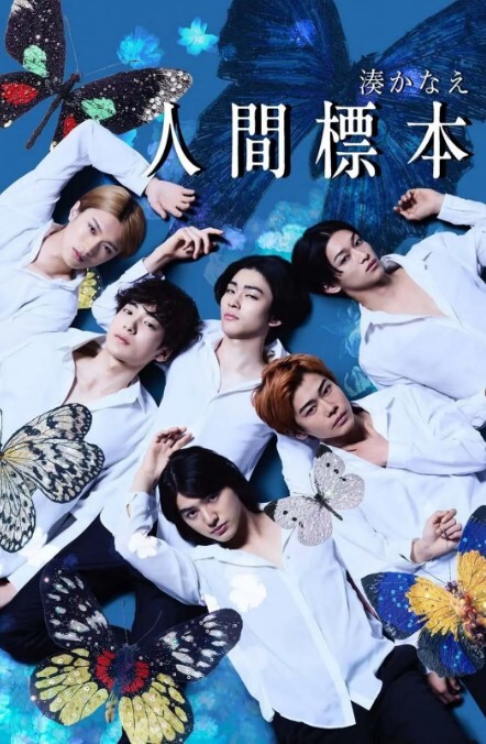 喜欢看着乖狗狗朋友骑征在身上自己蠕动 - 91JQ