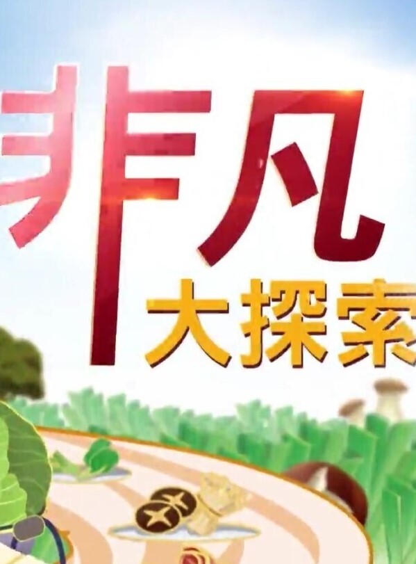 【精品 泄密 】杭州甜美女孩与男友 自拍 流出 - 91JQ